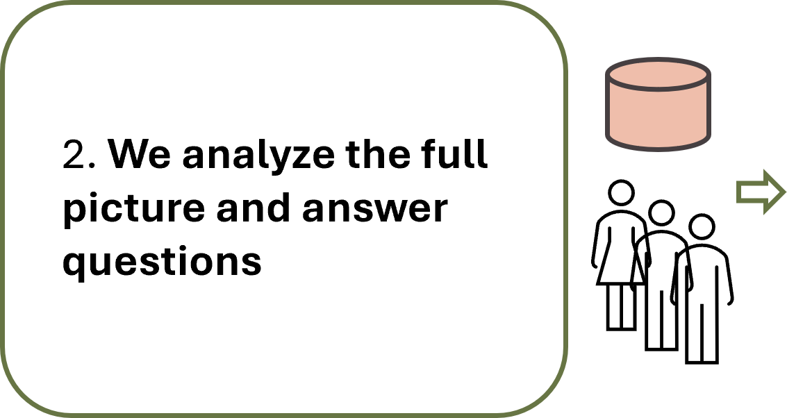 2. We analyze the full picture and answer questions